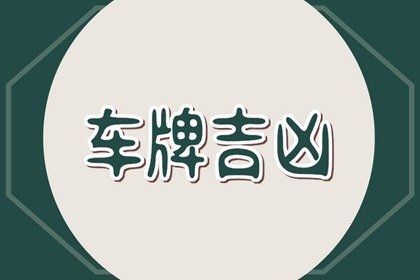 165VK 车牌号详解：了解车牌号最后两位字母的意义