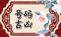 「禍害蔓延!? 絶命车牌号怎样化解法大揭秘」